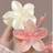 Shein 2pcs/Set Pink White Purple Ombre Hibiscus Flower Large Plastic Hair Clips, Elegant And Versatile, Suitable For Everyday, Party, Work, Travel For Women,Pink Accessories