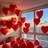 Shein 10 Inch Red Heart Shaped Latex Balloons 10pcs