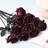 Shein Dark Red Rose Stem 1pc Artificial Plant