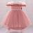 Shein Baby Girls Floral Mesh Back Bowknot Decorated Cute Party Dress - Without Hair Accessories