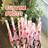 Shein Customized Face Party Paper Straws 12pcs