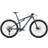Specialized Epic Comp 29" 2021 L - Satin Carbon/Oil Chameleon/Flake Silver