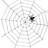 Amscan Spider Web Rope