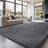 Sour Lemon Living Room Anti Slip Grey 160x230cm