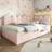 Canora Grey Single Upholstered Daybed With Trundle 76cm H x 97cm W x 193cm L - Pink Frame Bed