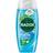Radox Mineral Therapy Shower Gel Feel Active Sea Salt 225ml