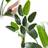 tectake Paradisfugletræ Tropic Naturtro 160 cm Kunstig plante