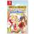 Story of Seasons Grand Bazaar Prismatch
