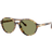 Giorgio Armani AR8236U Uld Solbriller Acetat Skildpadde - Blå