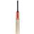 Gray-Nicolls Scoop 50 Players Edition Cricket Bat