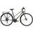 Trek FX 2 Disc Equipped Stagger 2023 M - Satin Lithium Grey Damcykel