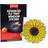 Rentokil Advanced Fly Trap Window Sticker 4pcs