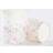 Shein White Flower Paper Cups 9oz