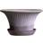 Bergs Potter Daisy Pot with Saucer - Grey Terracotta ∅30cm