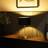 ValueLights Gold Stem Light 10 Inches Table Lamp