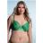 Playful Promises Green Lace Embroidered Underwired Bra - Pip Forest Green