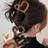Shein 4pcs Medium Black White Brown Khaki Hair Clips
