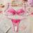Shein Embroidered Lace Underwear Lingerie Set - 2pcs