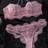 Shein Lace Fashion Bustier Lingerie Bra Panty Set - 2pcs