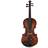 stentor SR1884 Brown