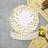 Shein 7 Inch Metallic Foil Paper Plates