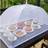 Shein Large White Pop-Up Mesh Food Cover Kitchenware