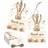 Shein Bear Thank You For Celebrating Tags