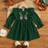 Shein Baby Girl Floral Embroidery Ruffle Trim Flare Sleeve Dress