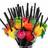 Shein Fruit Black Bendable Straws 100pcs