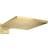 Hansgrohe Raindance E (26238990) Gold