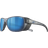 Julbo Camino Polarized J5019414 - Tanslucent Black Mat