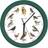 JML Bird Song Green/White Wall Clock 25cm