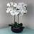 Leaf Orchid Floral Arrangement 60cm H x 40cm W x 40cm D Artificial Plant