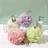 Shein Bath Loofah Exfoliating Body Scrubber Sponge