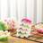 Shein 200 Pcs Flower Liners Pink Purple Yellow Cupcake Case