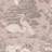 Belgravia Izumi Crane Pink Wallpaper 1000 x 53 x 0.2 cm
