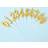 Shein Gold Opera House Digital Birthday Candle