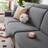 Shein Elastic Anti-Slip Couch Slipcover Loose Sofa Cover Grey