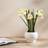 Scottish Everlastings Daffodil Ceramic Pot Spray 42 cm Multi Artificial Plant