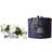 Côte Noire Ovals Scented Flower Ivory White Dekoration 4st