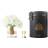 Côte Noire Grand Bouquet Fragrance Flower Ivory White/Gold Dekoration 4stk