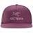 Arc'teryx Logo Trucker Flat Cap - Jupiter