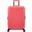 American Tourister DashPop Spinner 67cm - Sugar Pink