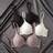 Shein 3-Piece Lace Patchwork Bra Set
