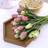 Shein Realistic Touch Plastic Tulips 3 6 10pcs Artificial Plant