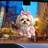 Shein Acrylic Pink Bow Dog Decor Pendant Decorative Item