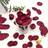 Shein Silk Rose Burgundy Flower Petals 50 100 200pcs