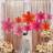 Shein 9pcs Light Pink Dark Orange Paper Fans