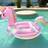 Shein Summer Pink Horse Glitter Inflatable Swimming Ring Float