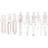 Shein 8pcs Fashion Illustration Ruler Sketching Template